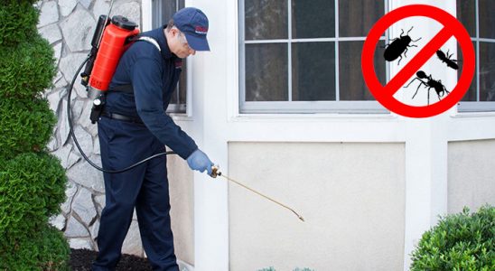 Bursa Kemirgen İlaçlama böcek ilaçlama ve haşere kontrolü — ilaclama-tr.com